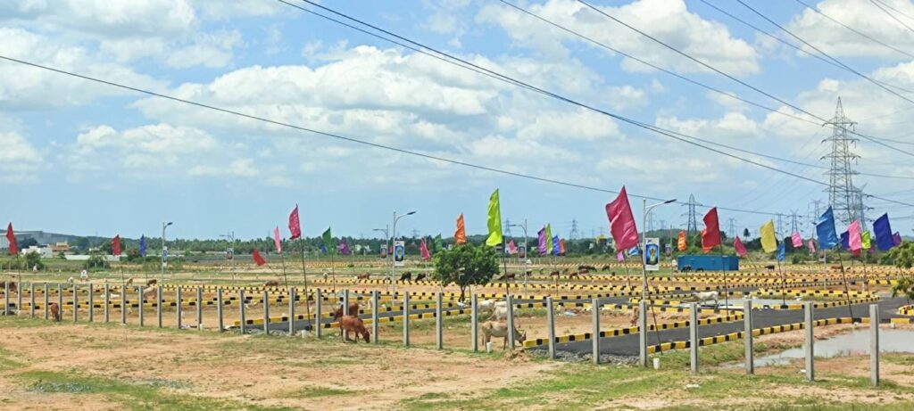 Mother Land Plots