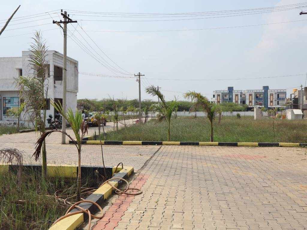 NSC City Elevation