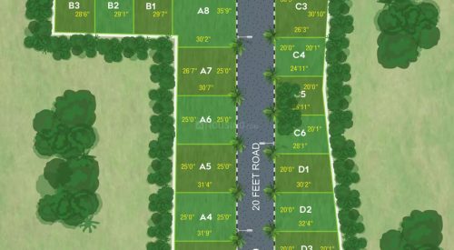 Brrownstone AVM Garden Plan