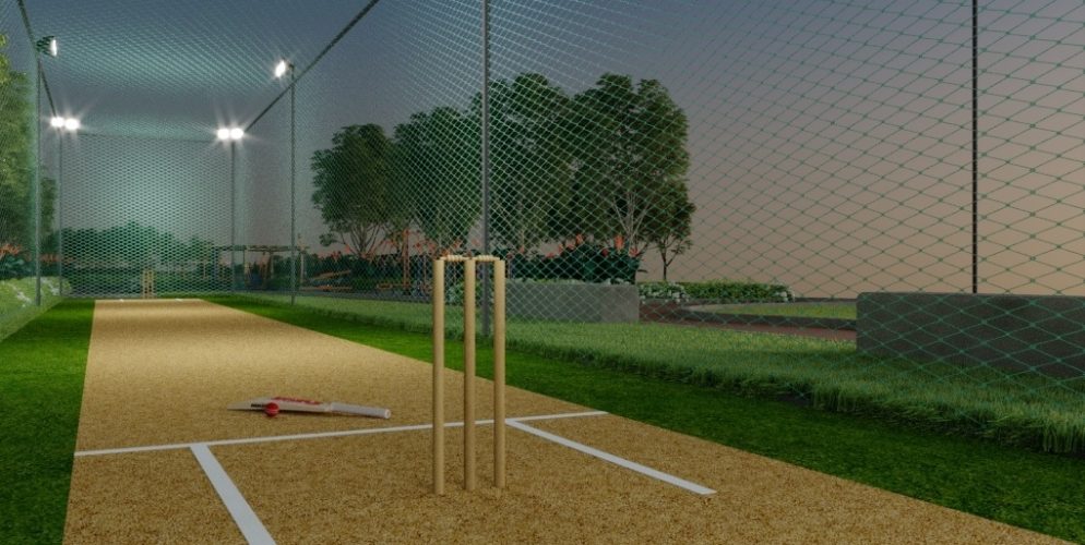 Empire Cricket Pitch