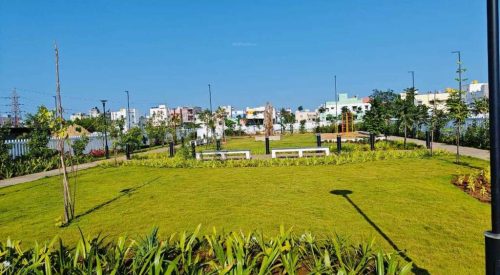 Grandeur Landscape Garden and Tree Planting