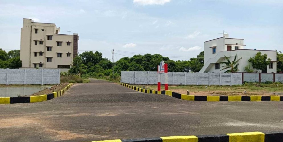 Mother Land Elevation 2