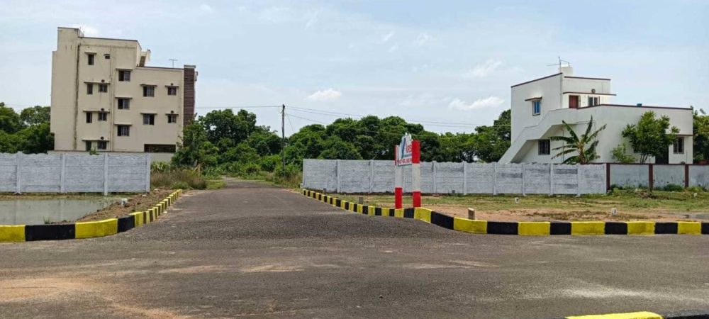 Mother Land Elevation 2