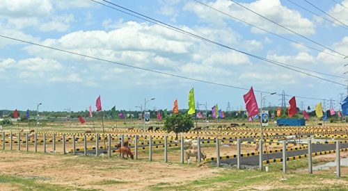 Mother Land Plots
