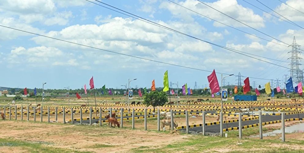 Mother Land Plots