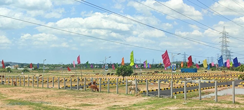 Mother Land Plots
