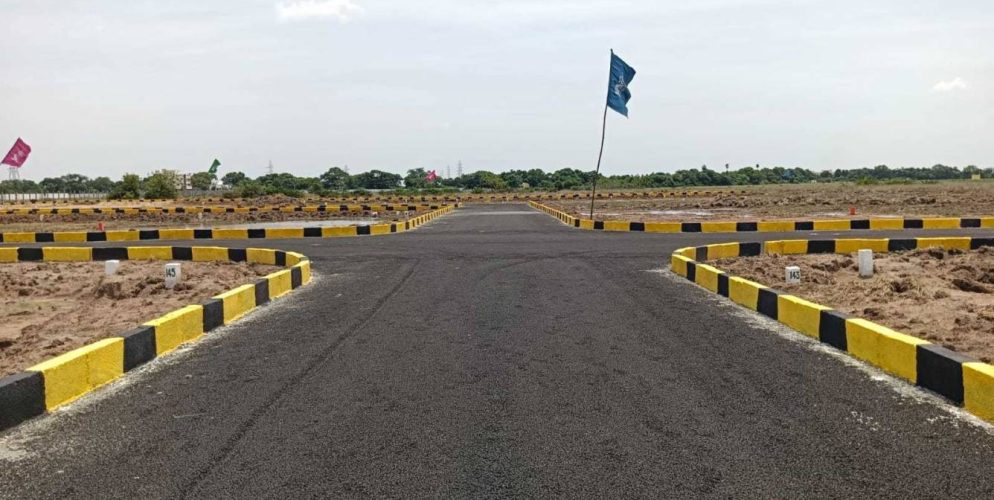 Mother Land Plot 2