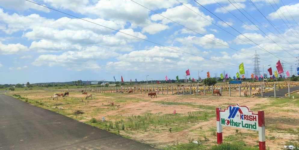 Mother Land Plot View