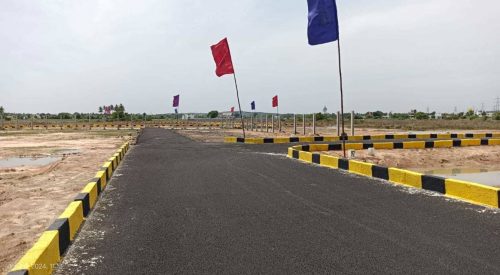 Mother Land Plots