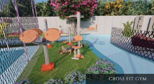 Orchard Park Open GYM