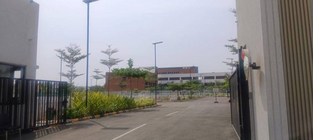 Paradise Plots
