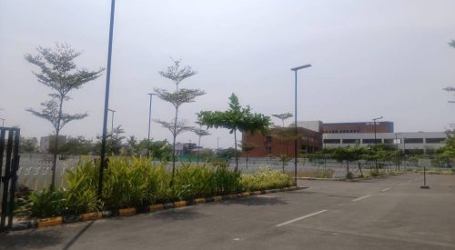 Paradise Plots