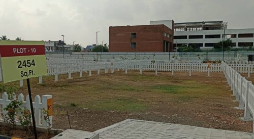 Paradise Plot view 2