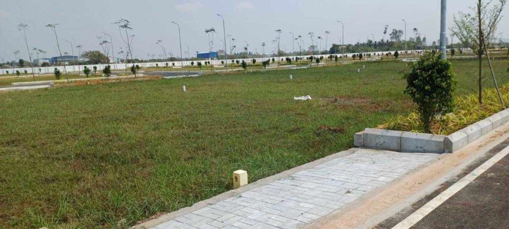 RWD Vista Marbella Plot View 9