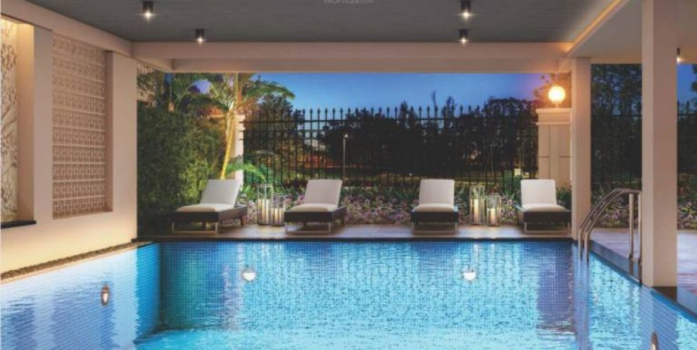 Silicon Valley Swimming Pool