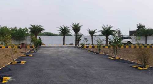 WhatsApp Image 2024-02-13 at 21.47.09_31cbf938