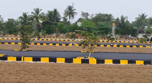 WhatsApp Image 2024-02-13 at 21.47.10_1bbd2970