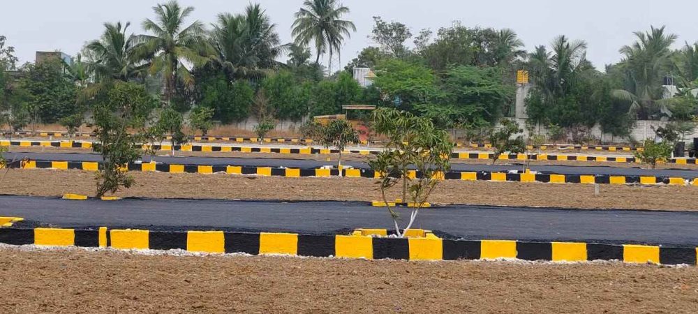 WhatsApp Image 2024-02-13 at 21.47.10_1bbd2970