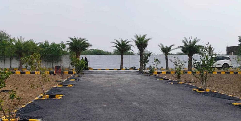 WhatsApp Image 2024-02-13 at 21.47.10_4e5ef8ee