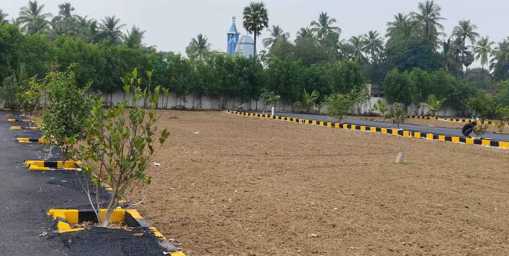 WhatsApp Image 2024-02-13 at 21.47.12_4ff13b8a