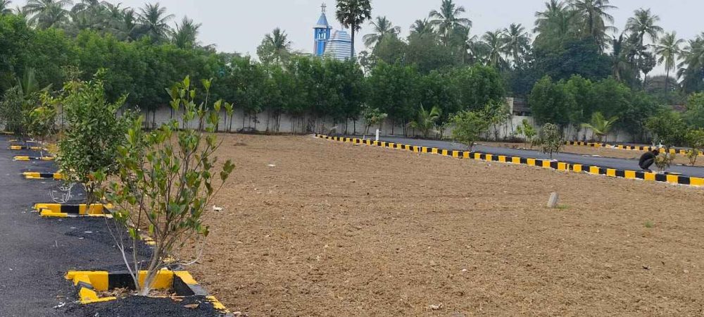 WhatsApp Image 2024-02-13 at 21.47.12_4ff13b8a