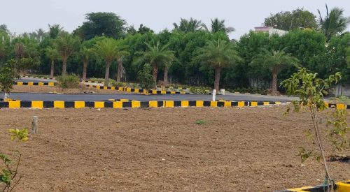 WhatsApp Image 2024-02-13 at 21.47.13_b7ef30be