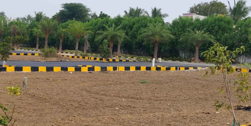 WhatsApp Image 2024-02-13 at 21.47.13_b7ef30be