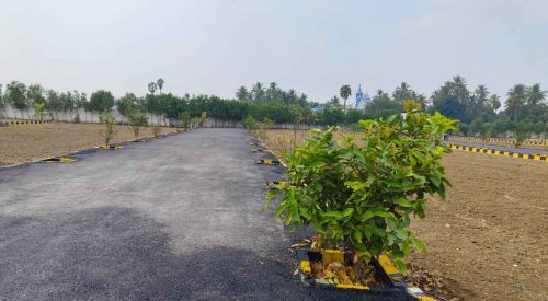 WhatsApp Image 2024-02-13 at 21.47.15_77e1dfca