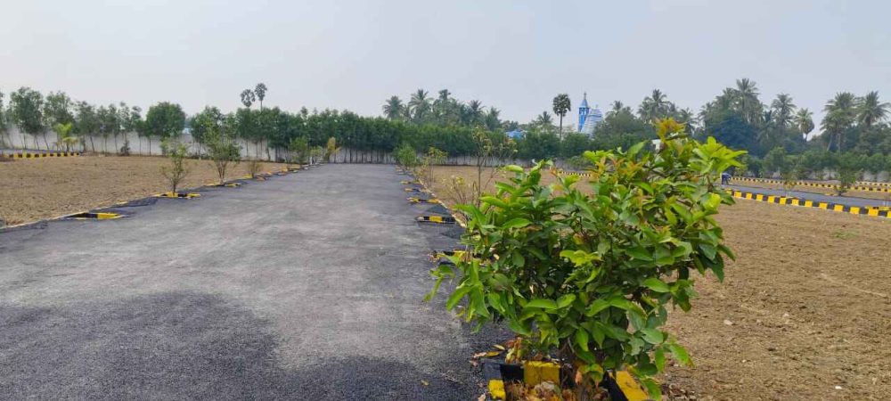 WhatsApp Image 2024-02-13 at 21.47.15_77e1dfca