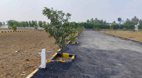 WhatsApp Image 2024-02-13 at 21.47.15_c6cef80b