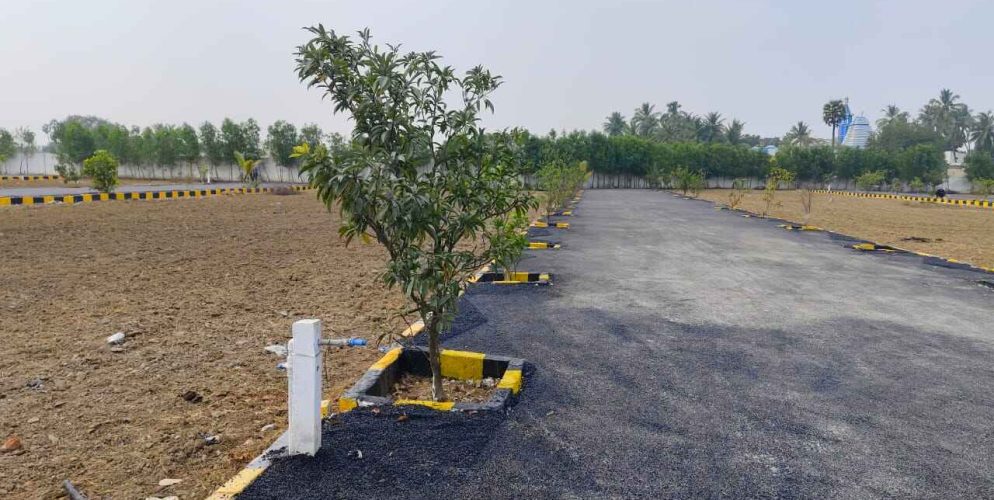 WhatsApp Image 2024-02-13 at 21.47.15_c6cef80b