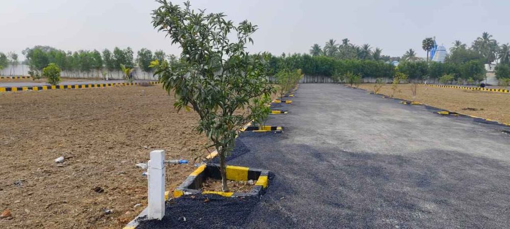 WhatsApp Image 2024-02-13 at 21.47.15_c6cef80b