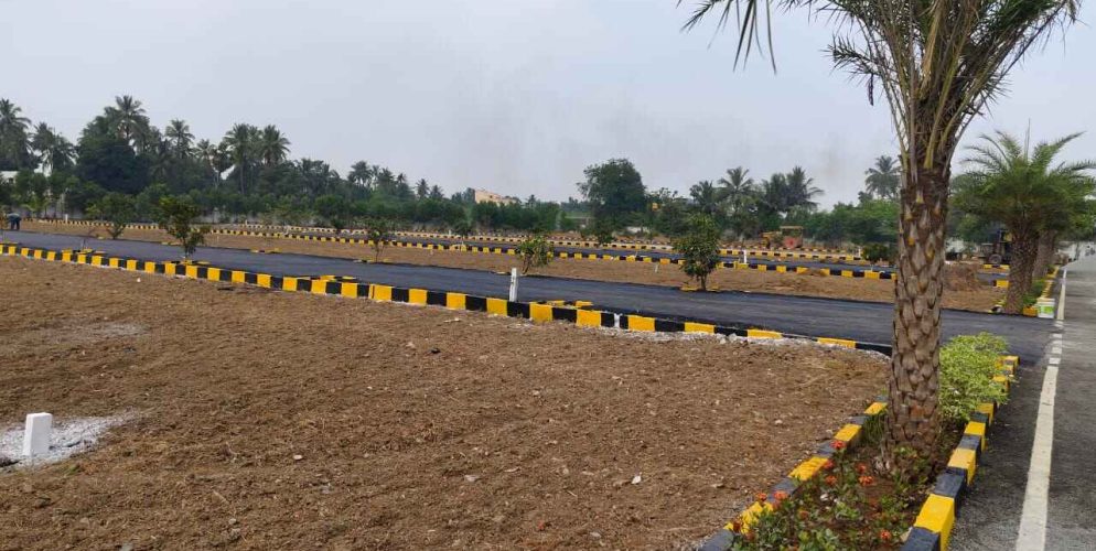 WhatsApp Image 2024-02-13 at 21.47.16_89b88edc