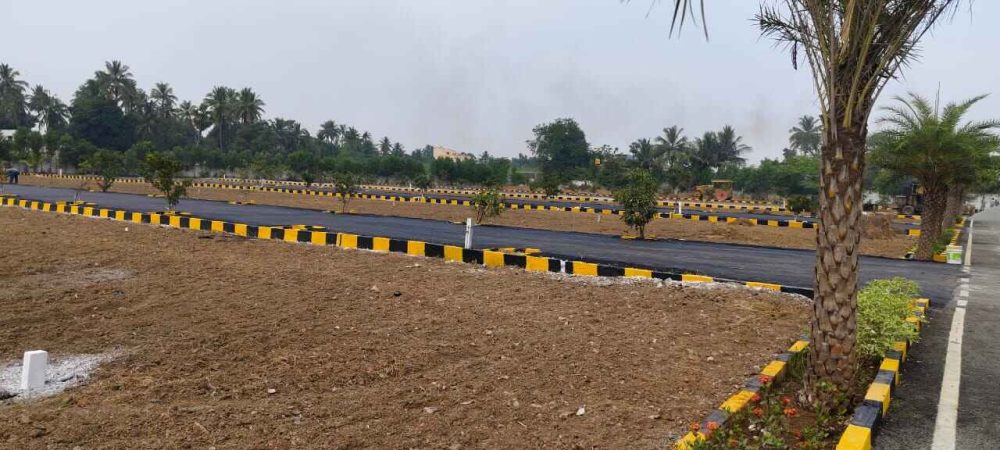 WhatsApp Image 2024-02-13 at 21.47.16_89b88edc