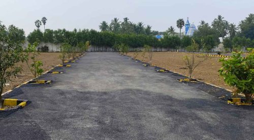 WhatsApp Image 2024-02-13 at 21.47.19_bd265b03