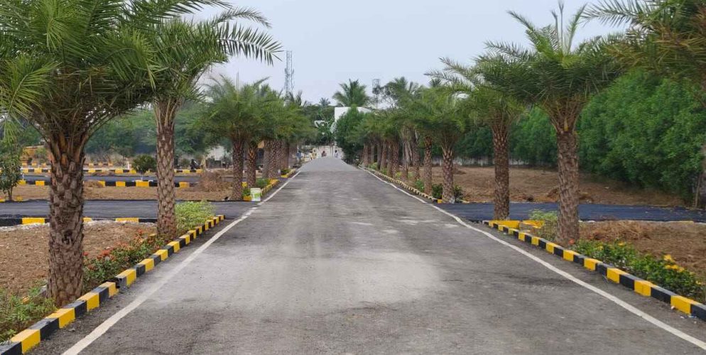 WhatsApp Image 2024-02-13 at 21.47.20_70484cdf