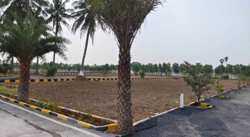 WhatsApp Image 2024-02-13 at 21.47.23_409c3f12