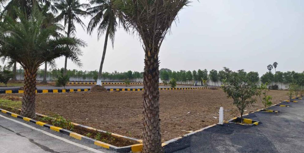 WhatsApp Image 2024-02-13 at 21.47.23_409c3f12