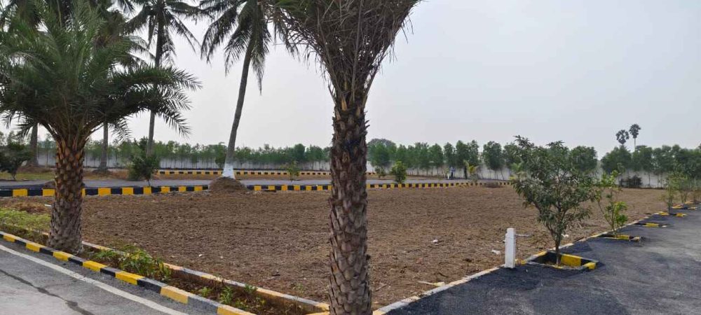 WhatsApp Image 2024-02-13 at 21.47.23_409c3f12