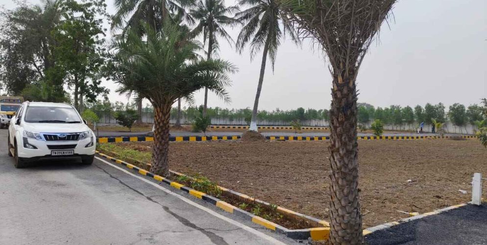 WhatsApp Image 2024-02-13 at 21.47.23_9eb42443