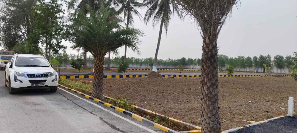 WhatsApp Image 2024-02-13 at 21.47.23_9eb42443