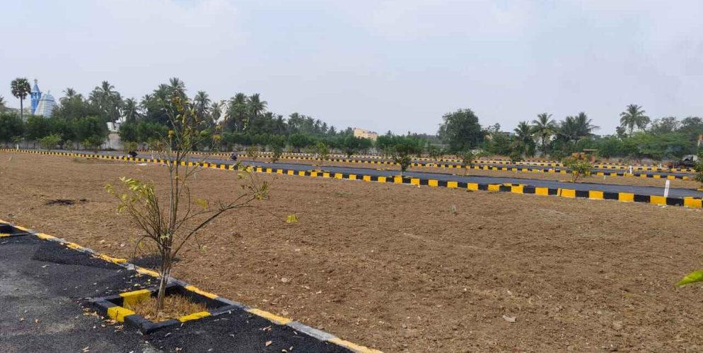 WhatsApp Image 2024-02-13 at 21.47.24_7d01209e