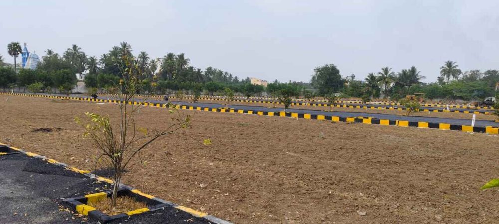 WhatsApp Image 2024-02-13 at 21.47.24_7d01209e