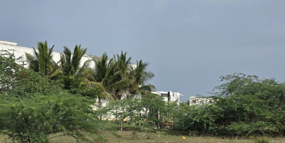 WhatsApp-Image-2025-06-26-at-23.31.31_85a371db