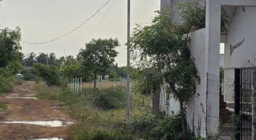 WhatsApp-Image-2025-06-26-at-23.31.32_5b79f3cc