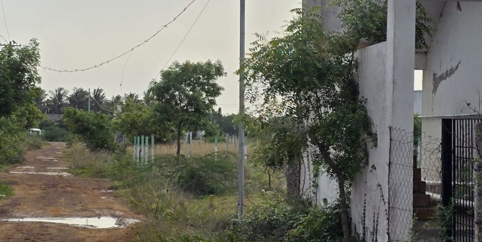 WhatsApp-Image-2025-06-26-at-23.31.32_5b79f3cc