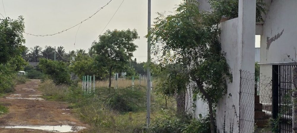 WhatsApp-Image-2025-06-26-at-23.31.32_5b79f3cc