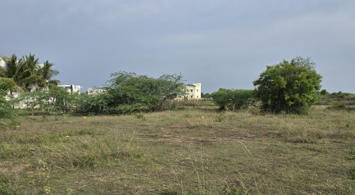 WhatsApp-Image-2025-06-26-at-23.31.32_f681c4d2