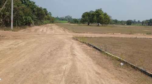 WhatsApp Image 2025-07-23 at 13.22.52_7edc8ac7