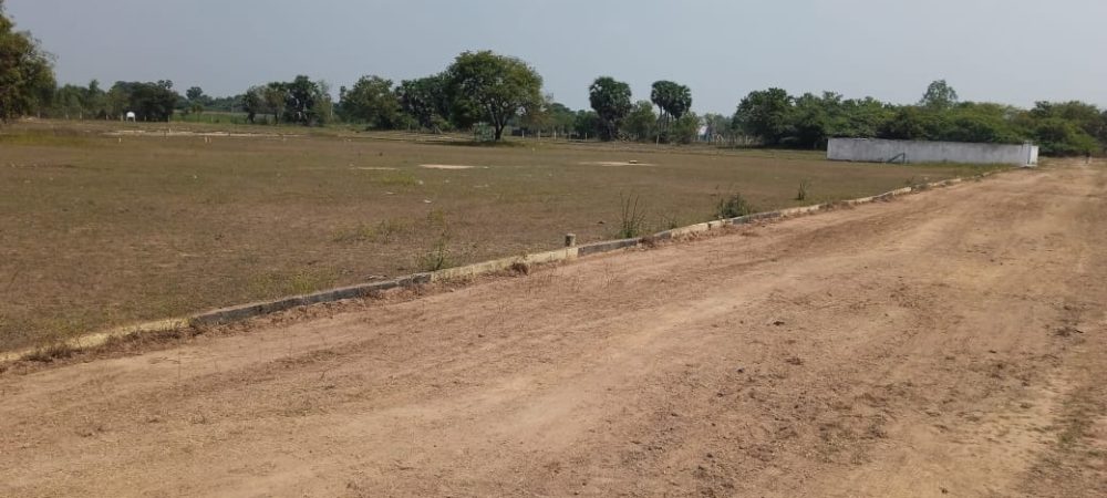 WhatsApp Image 2025-07-23 at 13.23.03_d334bf1e